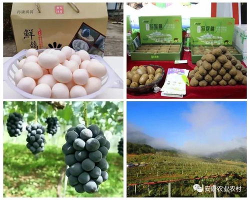 安康7個(gè)農(nóng)產(chǎn)品入選“全國(guó)名特優(yōu)新農(nóng)產(chǎn)品”名單